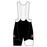 Windburn Performance Bib Shorts Pink